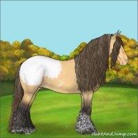 Horse Color:Buckskin Dun Tobiano Snowcap