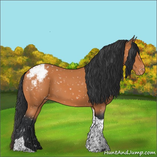 Horse Color:Bay Tobiano Snowcap 