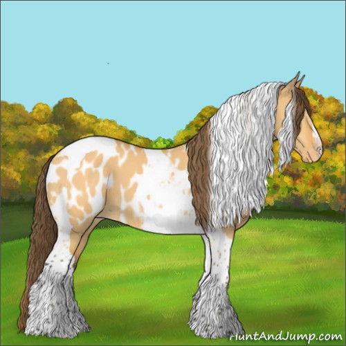 Horse Color:Buckskin Dun Tobiano Near Leopard