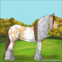 Horse Color:Buckskin Dun Tobiano Near Leopard 
