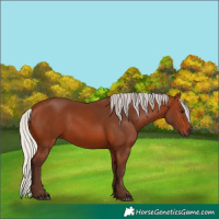 Horse Color:Silver Brown 