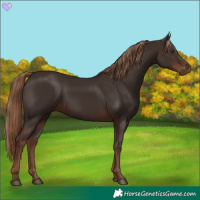Horse Color:Liver Chestnut 