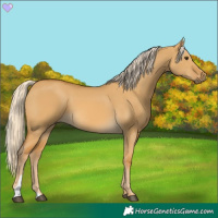 Horse Color:Palomino Dun 