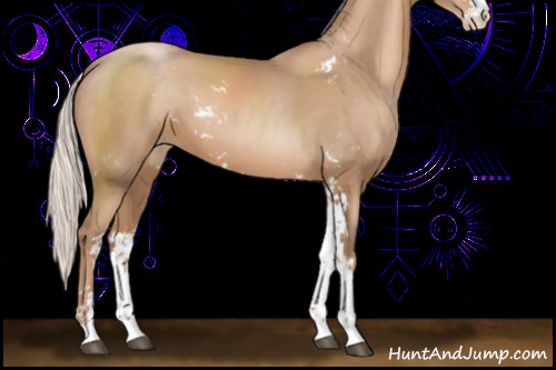 Horse Color:Silver Black Pearl Sabino 