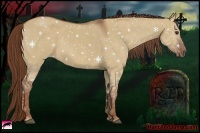 Horse Color:Red Dun Splash Brindle