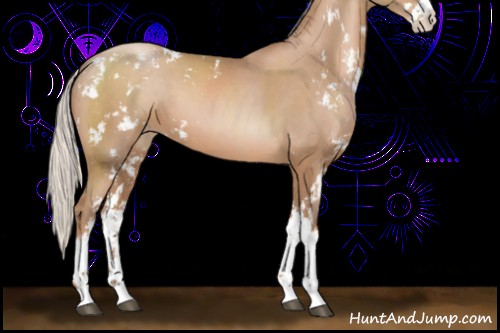 Horse Color:Silver Black Pearl Sabino 