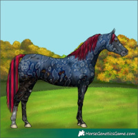 Horse Color:ERROR: UNKNOWN ANOMALY