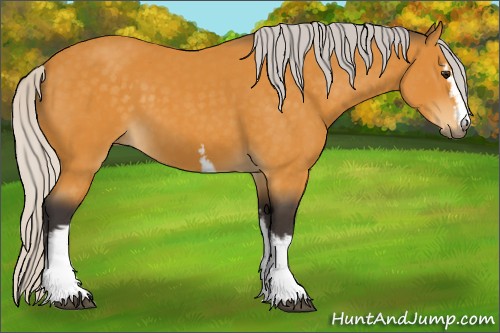 Horse Color:White Spotted Silver Buckskin 