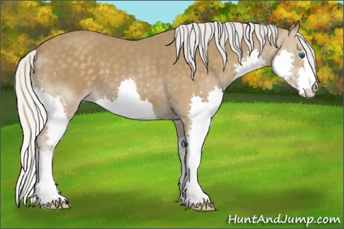 Horse Color:Silver Smoky Black Splash