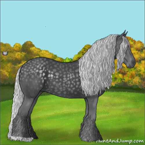 Horse Color:Silver Black Chinchilla 