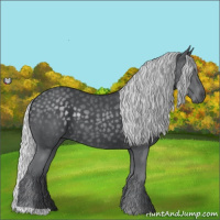 Horse Color:Silver Black Chinchilla 