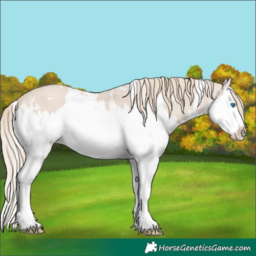 Horse Color:White Spotted Smoky Creme Splash