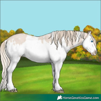Horse Color:White Spotted Smoky Creme Splash 