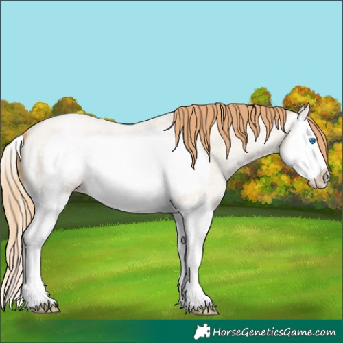 Horse Color:Smoky Grullo Roan Pearl Splash Frame 