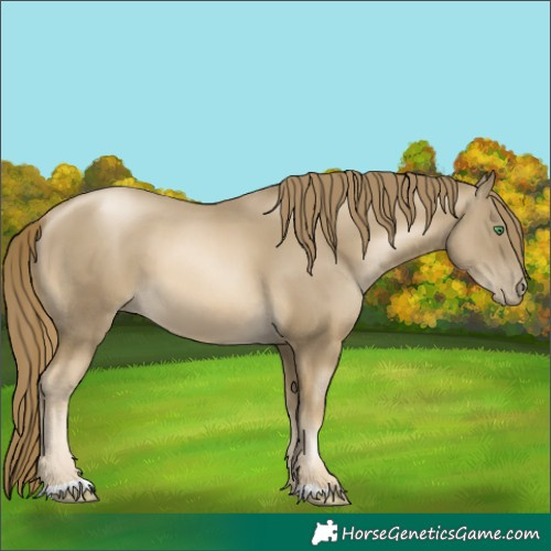 Horse Color:Smoky Black Pearl