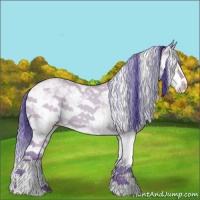 Horse Color:Watercolor Classic Champagne Dun Sabino 