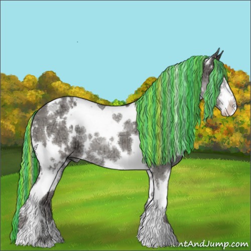 Horse Color:ERROR: UNKNOWN ANOMALY
