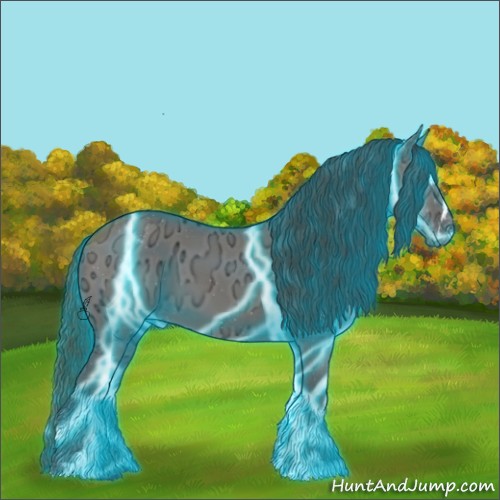 Horse Color:Thunderstruck Grullo Ice Sabino Appaloosa 