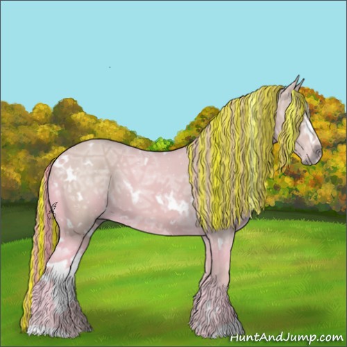 Horse Color:ERROR: UNKNOWN ANOMALY