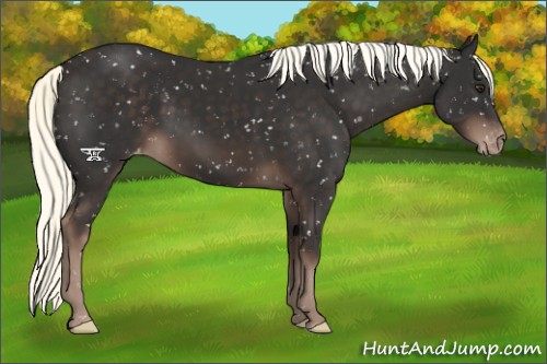 Horse Color:Liver Chestnut Mushroom Snowflake Varnish