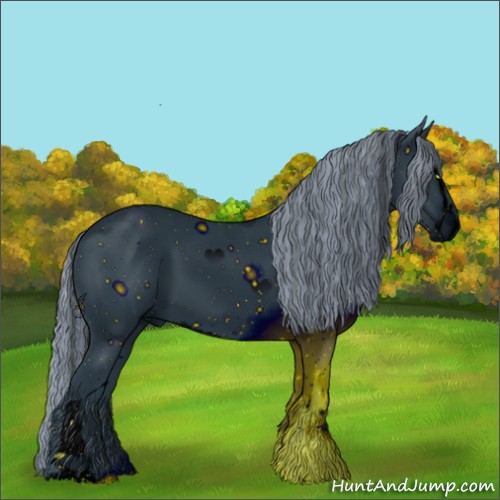 Horse Color:ERROR: UNKNOWN ANOMALY