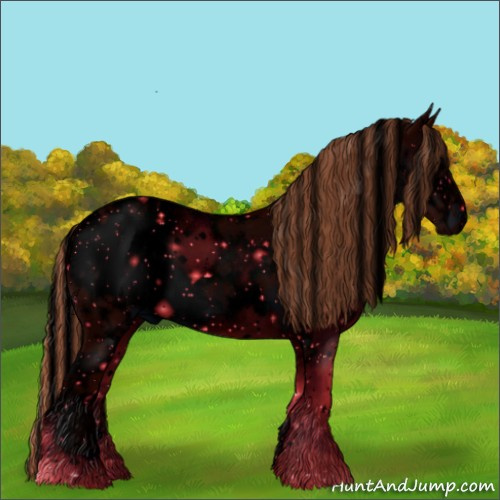 Horse Color:ERROR: UNKNOWN ANOMALY