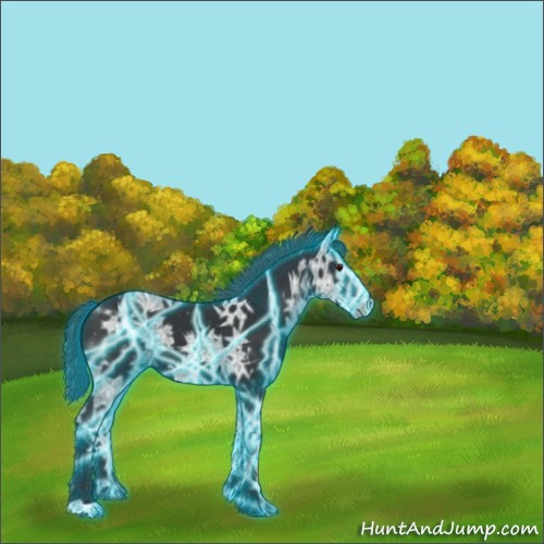 Horse Color:Thunderstruck Black Chinchilla Ice 