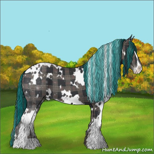 Horse Color:Painted Plaid  White Spotted Black Sabino 