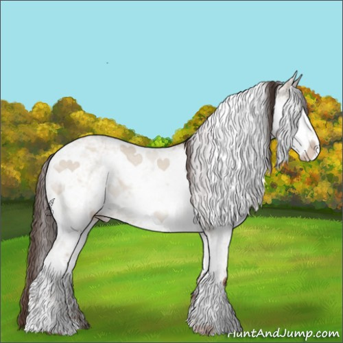 Horse Color:ERROR: UNKNOWN ANOMALY