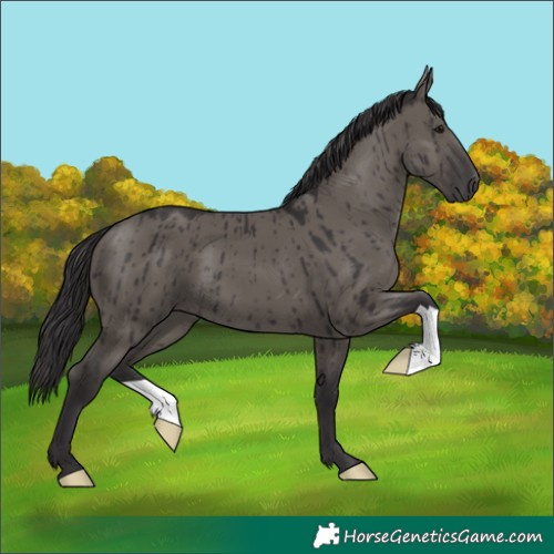 Horse Color:Smoky Grullo Brindle 