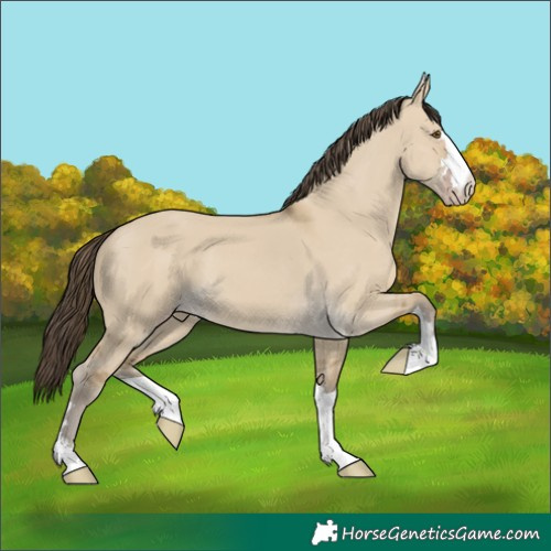 Horse Color:Classic Cream Champagne Dun 