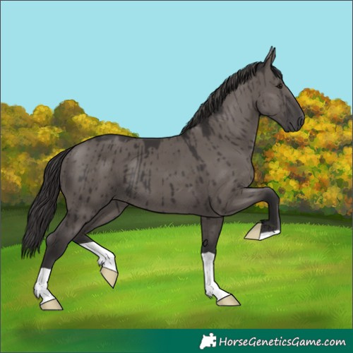 Horse Color:Smoky Grullo Brindle 