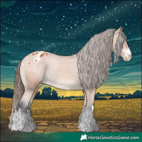 Horse Color:Bay Varnish Rabicano 