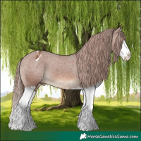 Horse Color:Chestnut Splash Varnish 