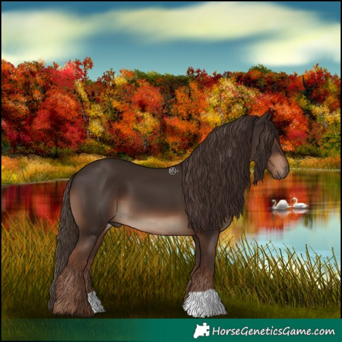 Horse Color:Liver Chestnut 