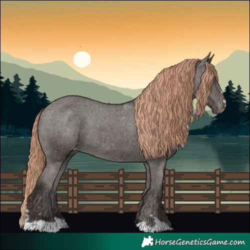 Horse Color:Liver Chestnut Appaloosa Rabicano 