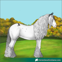 Horse Color:Black Splash Tobiano