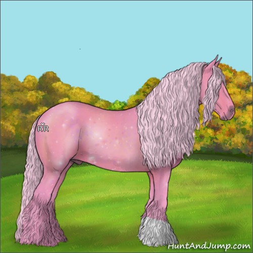 Horse Color:Watercolor Silver Brown 