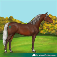Horse Color:Silver Brown 