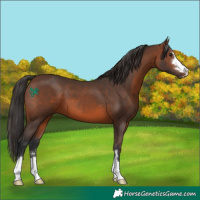 Horse Color:Brown 