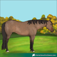 Horse Color:Liver Red Dun 