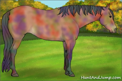 Horse Color:Nacre Bay 