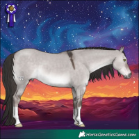 Horse Color:Platinum Liver Red Dun 