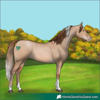 Horse Color:Brown Pearl Dun Tobiano 