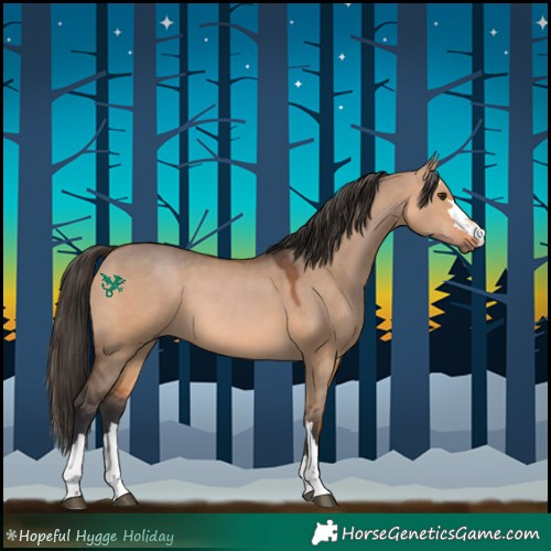 Horse Color:Bay Dun 