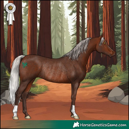 Horse Color:Silver Bay Rabicano 