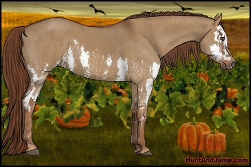 Horse Color:Red Dun Splash Brindle