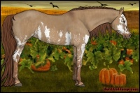 Horse Color:Red Dun Splash  Brindle