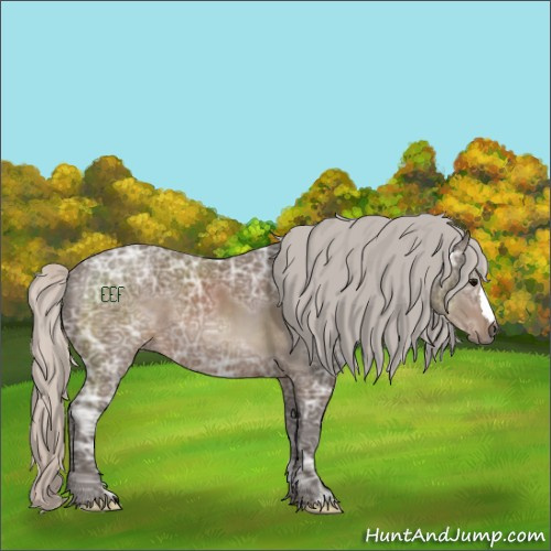 Horse Color:Silver Black Ice