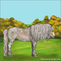 Horse Color:Silver Black Ice